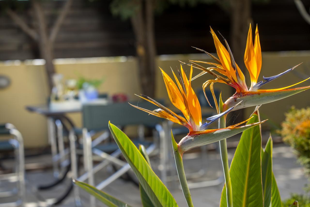 Ayia Napa Tropical Beach Villa Ngoại thất bức ảnh